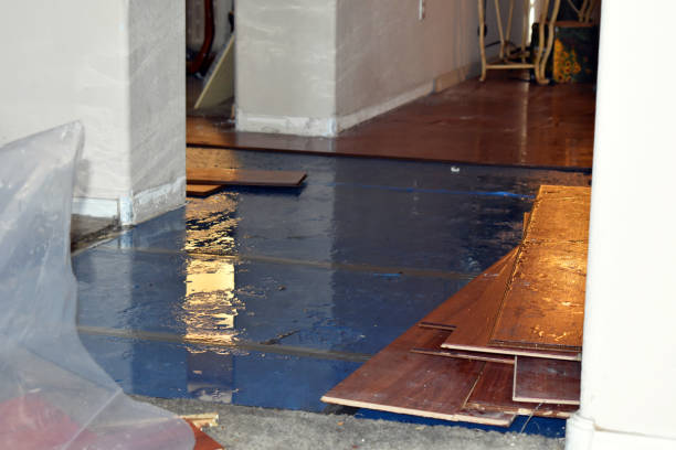 Professional Water Damage Restoration technician working in Lyons, TX